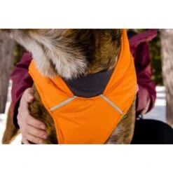 Ruffwear Quinzee™ Hundejacke Orange M 19 Ruffwear Quinzee™ Hundejacke Orange M -Heimtierbedarf Geschäft 001bdf29a34dffebf7840b4a759030f83c299732 1370013 de DE 17dd615b14a3a705025267b6458fddf099eb308bn8H5c2