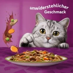 Whiskas Tasty Mix Multipack Chef's Choice In Sauce 60 X 85g -Heimtierbedarf Geschäft 00442002c36da7f8b13802a1093e87c1e37cdc7c 1410719 de DE Whiskas 6