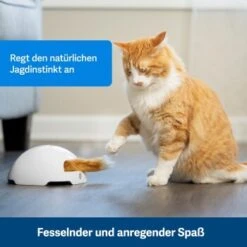PetSafe Automatisches Katzenspielzeug Fox Den 8 PetSafe Automatisches Katzenspielzeug Fox Den -Heimtierbedarf Geschäft 038232be25f9015ce160251d628e0af5cabbc69f 1351524 de DE dbeb3a30744bbc866a12a3ecd4f619007abf0a14xn8Dpf