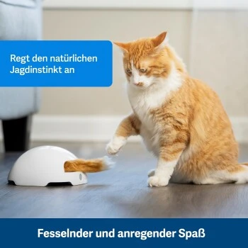 PetSafe Automatisches Katzenspielzeug Fox Den 3 PetSafe Automatisches Katzenspielzeug Fox Den – Bild 3