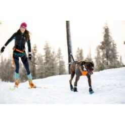 Ruffwear Cloud Chaser™ Hundejacke Schwarz XXS 20 Ruffwear Cloud Chaser™ Hundejacke Schwarz XXS -Heimtierbedarf Geschäft 06cfa3a745821d84428a1de78da0089ce33c0271 1369623 de DE 87163fc3e147e303fdf97d4ab87fd720c4f34a96nSWmMF