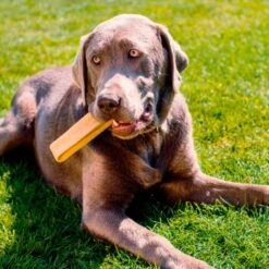 Larsson Yaky Kaukäse XL -Heimtierbedarf Geschäft 06d40594a1ce5b7fb2b9172bc3bce44107037525 1327624 de DE 620ca0cdbae088fab54671a36b17dafb3fbfc6ccVv825o