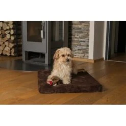 TrendPet VitaMedog Braun Für Comfort Wagon M -Heimtierbedarf Geschäft 07405e86602560ced1163a302f3d59312e92dc7c 1496697 de DE 71ee9fdb56c876f05b02661e6329cb242daeb80b6BTUU0