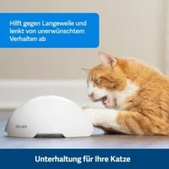PetSafe Automatisches Katzenspielzeug Fox Den 11 PetSafe Automatisches Katzenspielzeug Fox Den -Heimtierbedarf Geschäft 08408a2d9006c3b10c605053b082403622980ada 1351524 de DE 8502feb5da21e0ab937dc8c82ecaeac4aebee886lllVcE