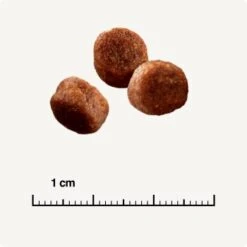 SELECT GOLD Digestion Senior Geflügel Und Reis 2,5kg 10 SELECT GOLD Digestion Senior Geflügel Und Reis 2,5kg -Heimtierbedarf Geschäft 0999645de19e34aac9b2c14ea642717fe4bc62d2 1001086008 de DE 6