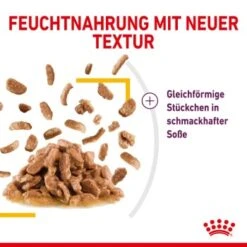 ROYAL CANIN SENSORY Taste In Soße Für Wählerische Katzen 12x85g 13 ROYAL CANIN SENSORY Taste In Soße Für Wählerische Katzen 12x85g -Heimtierbedarf Geschäft 09a059de2364eb51bda32aeffa36bbd6d1f3bdb1 8f299c34d454dffa470c5aa2d50e9f03e2c503d0