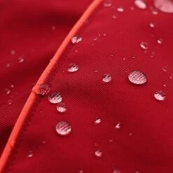 THE DOG IDEA Regenmantel Duke Rot XXXS 10 THE DOG IDEA Regenmantel Duke Rot XXXS -Heimtierbedarf Geschäft 0b96c2b346599e3bfc621cd46bc5222963a975ce 1487619 de DE 15918523d26ad94991e88a54ba0dbb6c1b769d88mq6M8P