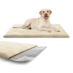 Knuffelwuff Kälteabweisende Und Wärmeisolierende Thermodecke Beige L -Heimtierbedarf Geschäft 0d048450d3677bbe66ac815d46c1573d77ebc64b 1411793 de DE 26a54309e701e992732d9c1d25392889d55befc3ZZNFAK