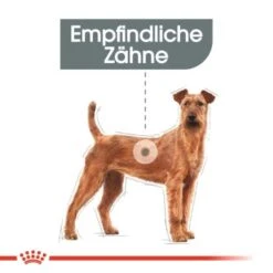 ROYAL CANIN Dental Care Medium 10 Kg -Heimtierbedarf Geschäft 0d5c6fa44d53dd330864bef70ba3fcb8e4060102 e1244fc5549ff631e08ac8924d20a1208a8a78c0