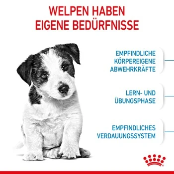 ROYAL CANIN Mini Puppy 8 Kg 5 ROYAL CANIN Mini Puppy 8 Kg – Bild 5