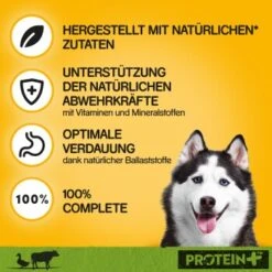 Pedigree Dose Protein+ In Pastete 12x800g Rind Mit Ente 11 Pedigree Dose Protein+ In Pastete 12x800g Rind Mit Ente -Heimtierbedarf Geschäft 1696c2b3fa0bb6b039068e7fe6dce0a8f30d7069 1394131 de DE pedigree 2