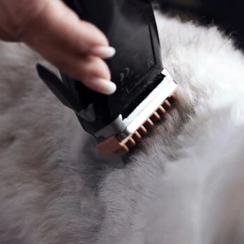 Moser Schermaschine REX 4 Moser Schermaschine REX – Bild 4