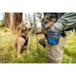 Ruffwear Treat Trader™ Leckerlitasche 20 Ruffwear Treat Trader™ Leckerlitasche -Heimtierbedarf Geschäft 186b7e425f598b12366c10ec7fcc813818c82e5a 1651410 de DE 3d11f6b873a5b5ccf59e40f905046c9bc48f73e4NRSYSc