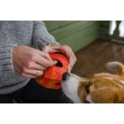 Ruffwear Gnawt-a-Rock™ Spielzeug Blau 17 Ruffwear Gnawt-a-Rock™ Spielzeug Blau -Heimtierbedarf Geschäft 18a32f6fd206d1a1fd4df8bb6663cd33f769d9d5 1639879 de DE b243dd683d9144eaac7a8d1e460c634ef96ee8c8AtipD6