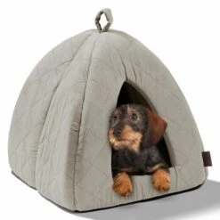 MORE Höhle Diamond -Heimtierbedarf Geschäft 1901edb64570eb8cb38c0e72458280ff138dcb40 856e9f8ef094dc77c4e2ce9e6d85768bffa721c6