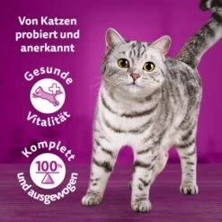 Whiskas Tasty Mix Multipack Chef's Choice In Sauce 60 X 85g -Heimtierbedarf Geschäft 1a0896467c0da700d9e0fc280bc0258026c8c9f0 1410719 de DE Whiskas 2 1