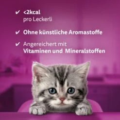 Whiskas Snacks Milch-Kätzchen 8x55g 13 Whiskas Snacks Milch-Kätzchen 8x55g -Heimtierbedarf Geschäft 1ba2212093ff5f5112c9f8822d1a7925e37090ed 1335585 de DE Whiskas 4