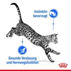 ROYAL CANIN Indoor Sterilised 12x85g In Gelee 9 ROYAL CANIN Indoor Sterilised 12x85g In Gelee -Heimtierbedarf Geschäft 1bf9d609b9998b0ce738f1e4af7089787567ddbd bded06d91e43adbf2bf2d0ffe19d0e7dcc79167a