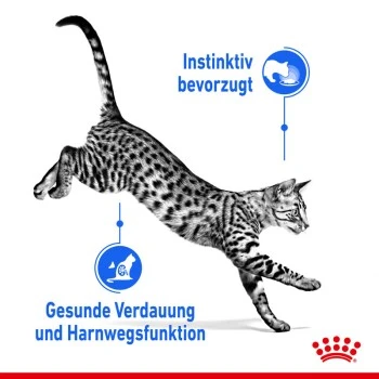 ROYAL CANIN Indoor Sterilised 12x85g In Gelee 5 ROYAL CANIN Indoor Sterilised 12x85g In Gelee – Bild 5