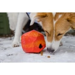 Ruffwear Gnawt-a-Rock™ Spielzeug Blau 18 Ruffwear Gnawt-a-Rock™ Spielzeug Blau -Heimtierbedarf Geschäft 1df4ce0c3e2b13b9dde849014a9b4637ff5fbf94 1639879 de DE 625c8d7bd239fd4e64b055b3b2574c1b5400a391xF45nb