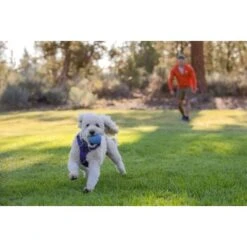 Ruffwear Huckama™ Spielzeug Violett 13 Ruffwear Huckama™ Spielzeug Violett -Heimtierbedarf Geschäft 1e25287ed59c30d76e9b799ca71232e607c6932b 1639706 de DE 4cde75bd4ef04e9f936b40473471e71f69a39443R9gkOp