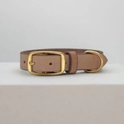THE DOG IDEA Leder Halsband Beige XL -Heimtierbedarf Geschäft 1ec48d2972c0e1dfe6ea7297404e371c480b6f93 1674216 de DE e62f018514b26e403cf6836ac6a855f79abfd60fyH1vTH