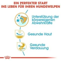 ROYAL CANIN Mops Puppy 1,5 Kg 16 ROYAL CANIN Mops Puppy 1,5 Kg -Heimtierbedarf Geschäft 1ec77d9b282b51a888ba23b88ab9ba8f49e59043 25b2c4affd986b4b4bf8d6cd25ae70e71ca39150