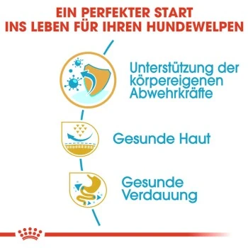 ROYAL CANIN Mops Puppy 1,5 Kg 8 ROYAL CANIN Mops Puppy 1,5 Kg – Bild 8