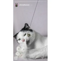 Kater Kasimir Premium Katzenangel Set Aus Buchenholz Mit 4 Handgemachten Anhängern 9 Kater Kasimir Premium Katzenangel Set Aus Buchenholz Mit 4 Handgemachten Anhängern -Heimtierbedarf Geschäft 21dd16f50076a5d627c45258925f2847665d22a7 1422145 de DE ad7eb1e3270aeafca2a582afabb293db93269a7cF1epRY