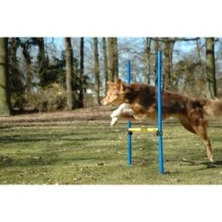 Dobar 3-teiliges Agility Sprung-Set,, Inkl. Tragetasche -Heimtierbedarf Geschäft 23438a1c89953580debb447a4f2a6705cf109122 9daba483a29d35b05cf9df2cf0269c15e7db3ed2