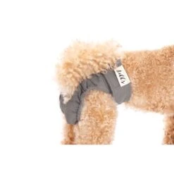 Lills Läufigkeitshöschen "Lou" Pink Berry Grau XXL 7 Lills Läufigkeitshöschen "Lou" Pink Berry Grau XXL -Heimtierbedarf Geschäft 2510182477e0473189522ab4c4eec9318a5ab186 1662393 de DE e81483ca839e45ba2b9fb54d71ddd02dbfa55b06LbZw0y