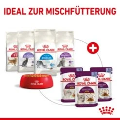 ROYAL CANIN SENSORY Smell In Gelee Für Wählerische Katzen 12x85g -Heimtierbedarf Geschäft 25c7f2b0017090b05172a164b94d24299f626039 5b9b3776479c43ed4449b8634046c65b7d96c1fe