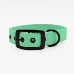 THE DOG IDEA Biothane Halsband Mint Schwarz XS -Heimtierbedarf Geschäft 25cf8844167d35dc6a0ede8247bd0c1c48926912 1679203 de DE 5dfc334cca991c733ec62b12b4247e7b946f4cb7XO7Lzj