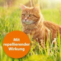 Ardap Spot-On Für Katzen S -Heimtierbedarf Geschäft 2832abadbed6ee253283ad10339d4ca7953da50e 1150895 de DE bdbc560061e2e30e7b333546e833ec7d1fb35e4fKT2bXr