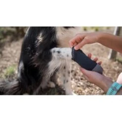 Ruffwear Bark'n Boot Liners™ Socken M 8 Ruffwear Bark'n Boot Liners™ Socken M -Heimtierbedarf Geschäft 2835dda8cd15e33a659ec5080d162d132daa0859 1363986 de DE b8adaab7095817086a79f83ae1a26d9c3b5c1b8bAgOMlL