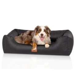 Knuffelwuff Orthopädisches Hundebett Montana Aus Kunstleder Schwarz M-L -Heimtierbedarf Geschäft 28bd0f32b8e066fb3bb020d5ad220a1937d75ced 1412170 de DE 7311c0c4c8e49d71195954eef00a36c1518080fd4vE1hu