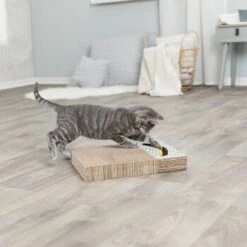 Trixie Kratzpappe Mit Spielzeug -Heimtierbedarf Geschäft 2922fdbeca6faf723a69257e5e81b0da65bcea01 149772bd00e8a047fa4bf8b07169295e296775d1