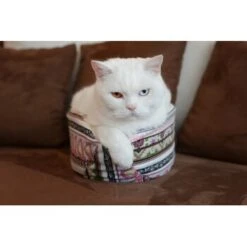 Canadian Cat Company Katzenschiff LUNA -Heimtierbedarf Geschäft 2a794931f9263820d298c92486fc08c7b5fe3a35 1412669 de DE 46780a4b5da8fe052e5be00462eb02991658c41f2ZgeMs