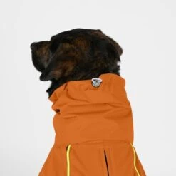 THE DOG IDEA Regenmantel Duke Orange XXXS 8 THE DOG IDEA Regenmantel Duke Orange XXXS -Heimtierbedarf Geschäft 2c464c8150423d80739b1409ce956e12c7928827 1473000 de DE 974a3540330c77e50b2a59dc10e705f1dbfc6716V9PfXa