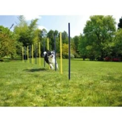 AniOne Agility Slalomstangen -Heimtierbedarf Geschäft 2c588091cd7b1c91e348dc4b664d5ccf7b813b55 5b90fc3282e3f36a151043eb4999c7a431fb4558