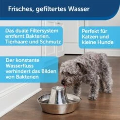 Heimtierbedarf Geschäft -Heimtierbedarf Geschäft 2cdabe78d5c890a592aec5c3f01ec2229a819e34 1423699 de DE ac4759534f43fa01ebe70257b0b0d5e662f450a7BuaFc6