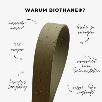 THE DOG IDEA Biothane Halsband Mint Mint S 7 THE DOG IDEA Biothane Halsband Mint Mint S – Bild 7