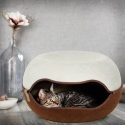 Canadian Cat Company Filz Katzennest 2.0 Weiß 15 Canadian Cat Company Filz Katzennest 2.0 Weiß -Heimtierbedarf Geschäft 2d709df44822ed1c554e77257ea4f2826b7f6ee6 1412670 de DE f4bc2f42c404e1ae32cb86346c8e995f0178b889j3OAow