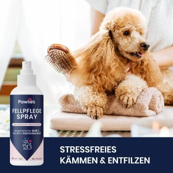 Pawlie's Fellpflege Für Hunde & Katzen 2 Pawlie's Fellpflege Für Hunde & Katzen – Bild 2