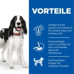Hill's Science Plan Medium Adult 1-6 Lamm & Reis 18 Kg 11 Hill's Science Plan Medium Adult 1-6 Lamm & Reis 18 Kg -Heimtierbedarf Geschäft 2eb5e8e2e65a629fb02a740e6a3d088b7c2bb774 52742025865 4