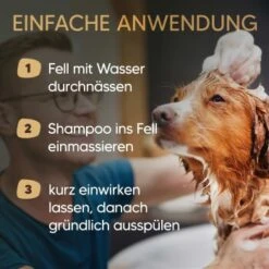 Pawlie's Hundeshampoo Für Langhaar 8 Pawlie's Hundeshampoo Für Langhaar -Heimtierbedarf Geschäft 31fb70412552456c4a02729fa462588fcf0d4e5b 1626203 de DE 25d5ddf898b492fba858f49f2f6f7a8a36500b93qNDG8c
