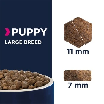 EUKANUBA Puppy Large Breed 15 Kg 2 EUKANUBA Puppy Large Breed 15 Kg – Bild 2