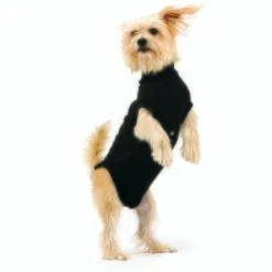 Trovet Hundebody Recovery Suit Schwarz XXS -Heimtierbedarf Geschäft 32b188fe2b1d79c98c3d705ed0768a2dea55c852 c9c58232ac385af15a91fd1318f8583c048209d5