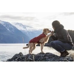 Ruffwear Overcoat™ Hundejacke Rot M 12 Ruffwear Overcoat™ Hundejacke Rot M -Heimtierbedarf Geschäft 32b81091541e421621a809b75c62062d90eca320 1369977 de DE e6611e4bd31113b7d836455a75813df21f681f8eLLYoOv