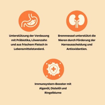 The Better Cat Nassfutter Huhn & Forelle 595 G 2 The Better Cat Nassfutter Huhn & Forelle 595 G – Bild 2